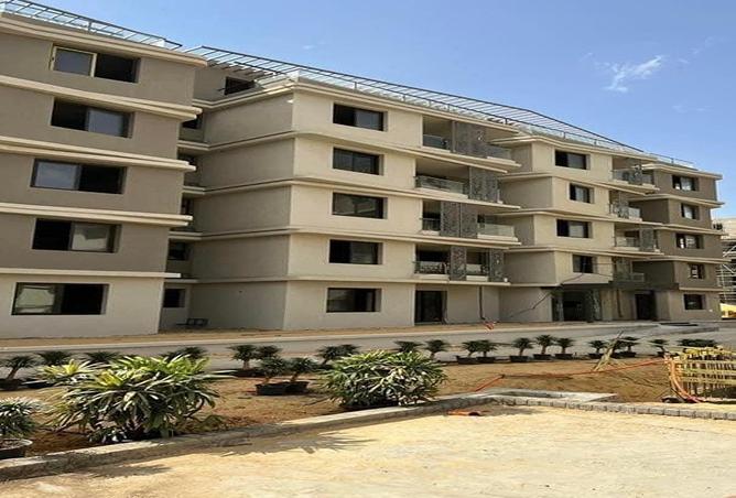 7990416 - Property Image 3