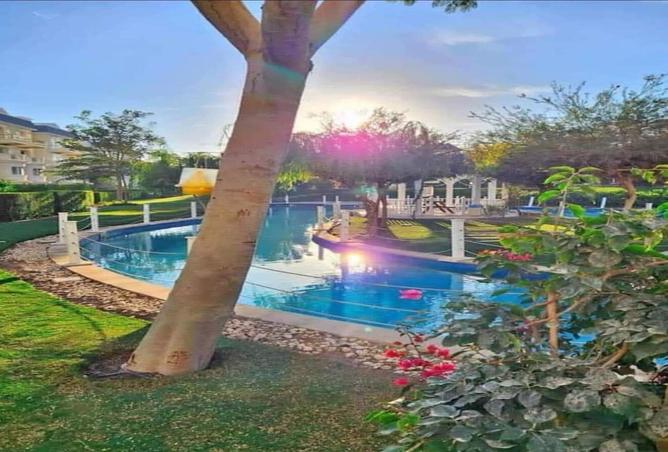 8240932 - صورة العقار 3