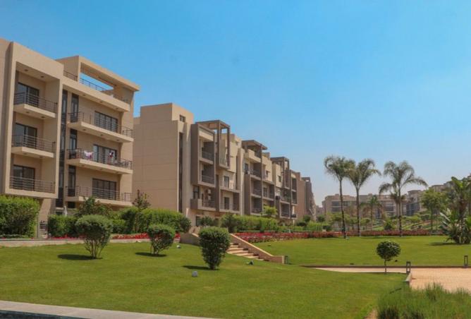 8371819 - Property Image 2