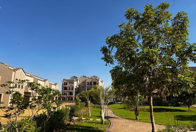 8105895 - صورة العقار 3