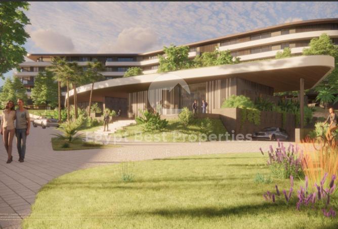 8166308 - Property Image 3