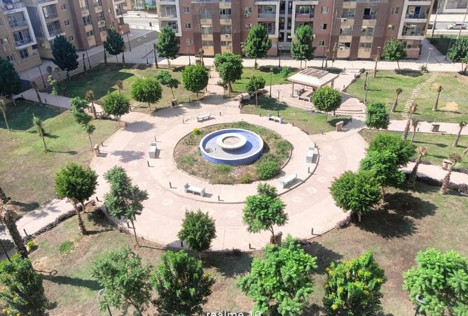 8517787 - صورة العقار 3