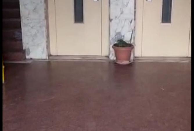 8302355 - صورة العقار 3