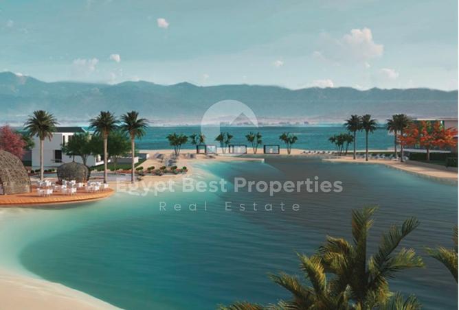 8197526 - Property Image 2