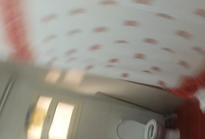 8174218 - Property Image 2