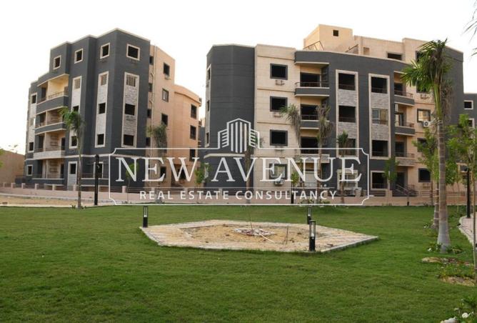 8453699 - Property Image 3