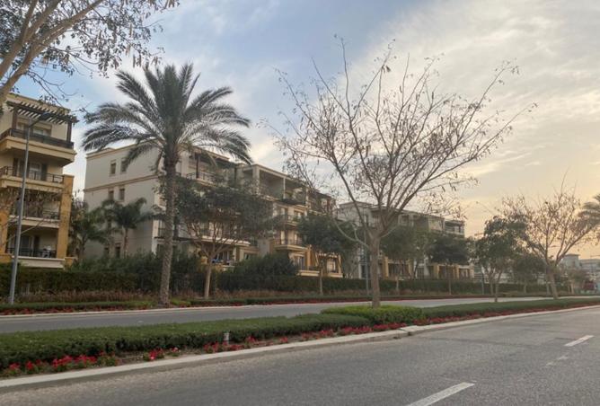 8376066 - Property Image 2