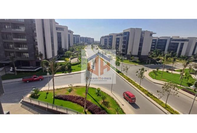 8048806 - Property Image 3