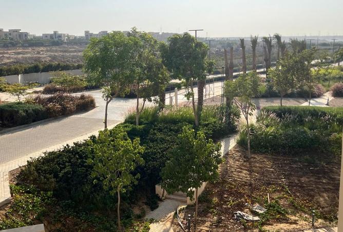 8203198 - صورة العقار 3