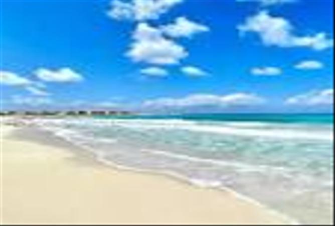 7979272 - صورة العقار 3