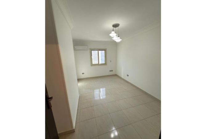 8449754 - Property Image 3