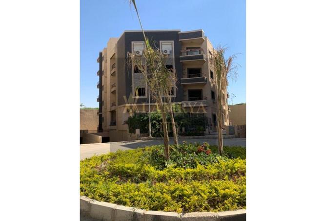 8476301 - صورة العقار 3