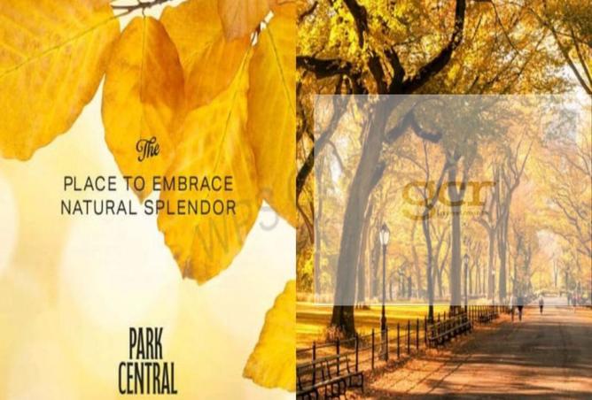 8180549 - صورة العقار 2