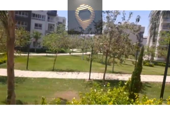 8118471 - Property Image 2