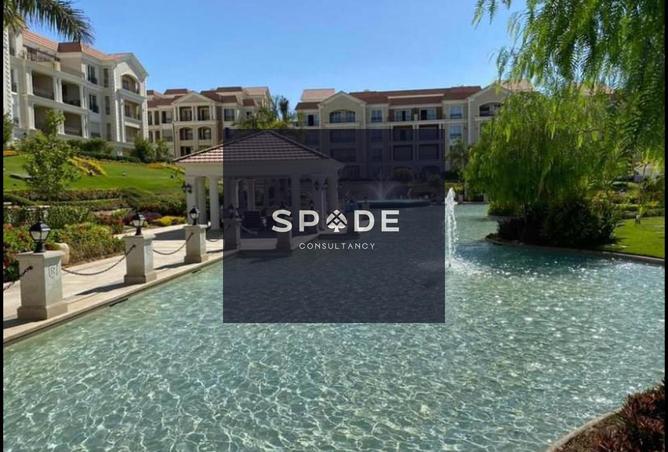 8342552 - Property Image 3