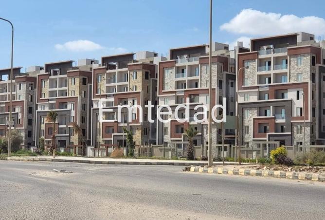 8442655 - Property Image 2