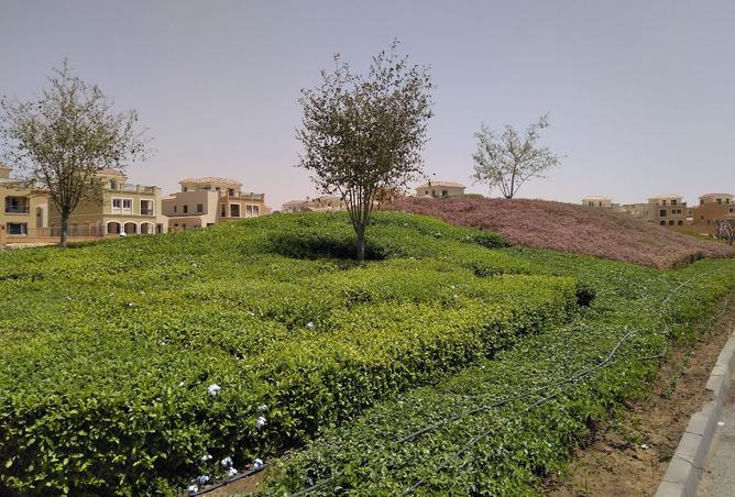 8342091 - Property Image 3