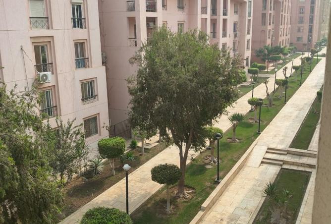 8445579 - Property Image 2