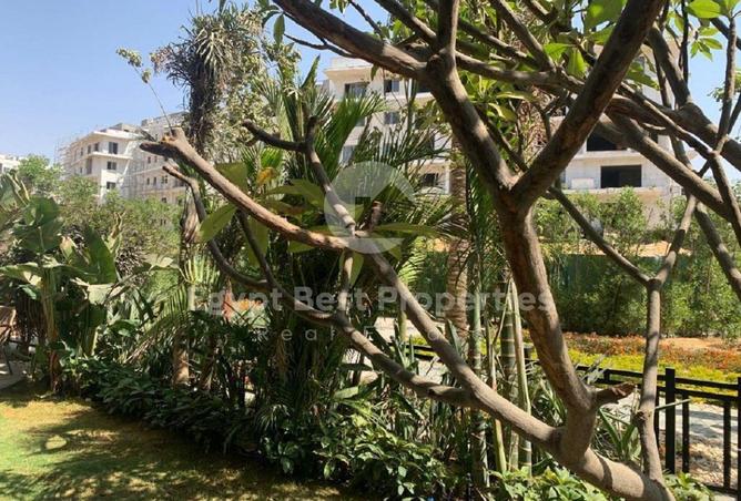 8036971 - صورة العقار 2