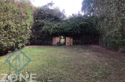 Villa - 3 Bedrooms - 3 Bathrooms for rent in Privado - Madinaty - Cairo