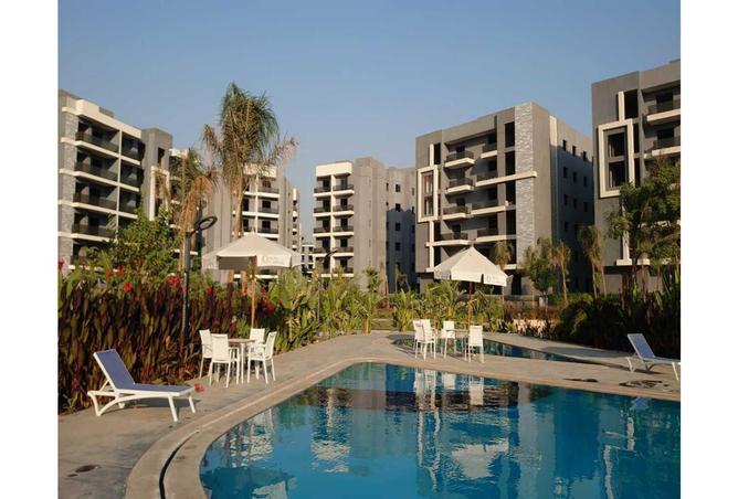 7984933 - Property Image 3