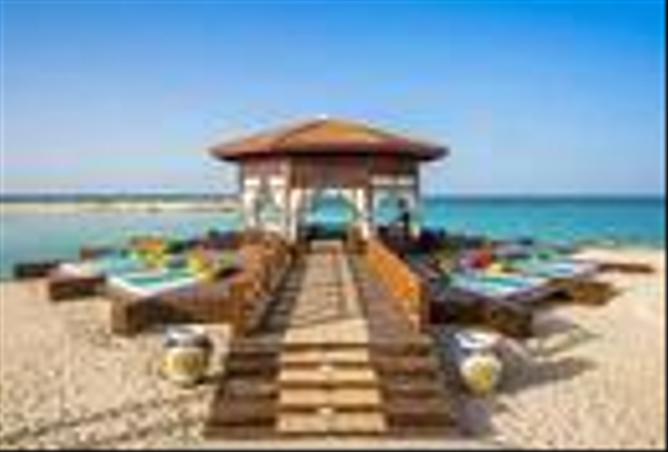 7995352 - صورة العقار 3