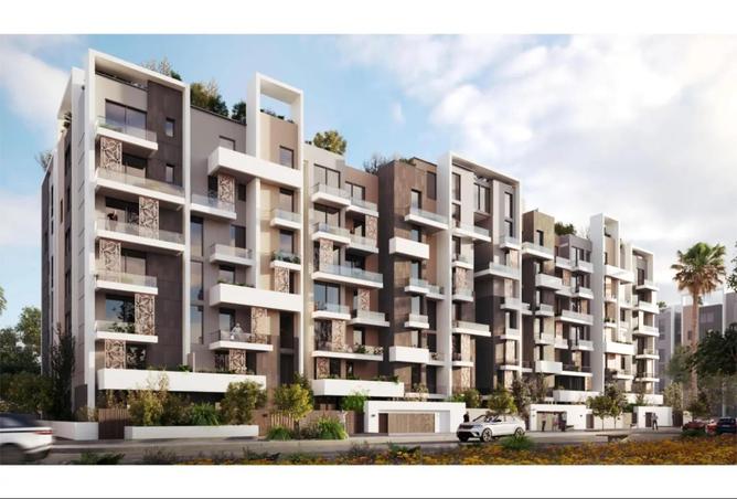 8128743 - Property Image 3