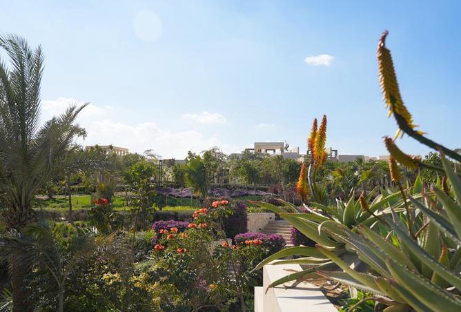 8397991 - صورة العقار 2