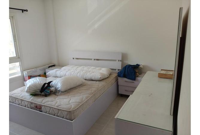 8265321 - Property Image 3