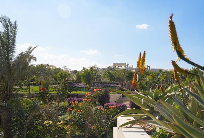 8561530 - صورة العقار 3