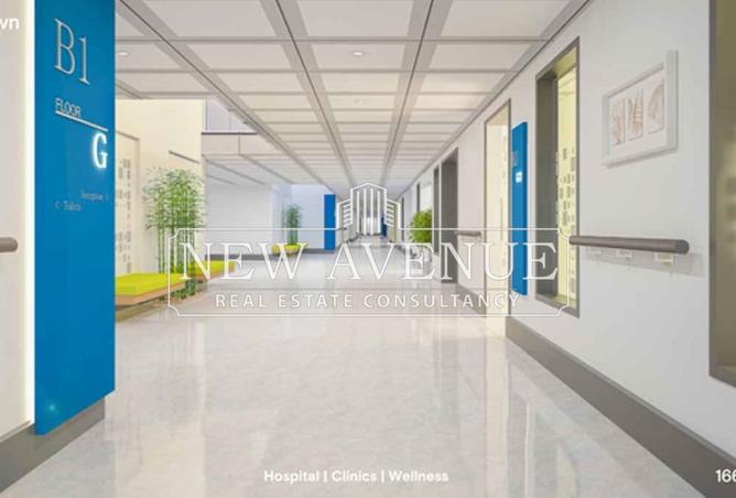 8029693 - Property Image 3