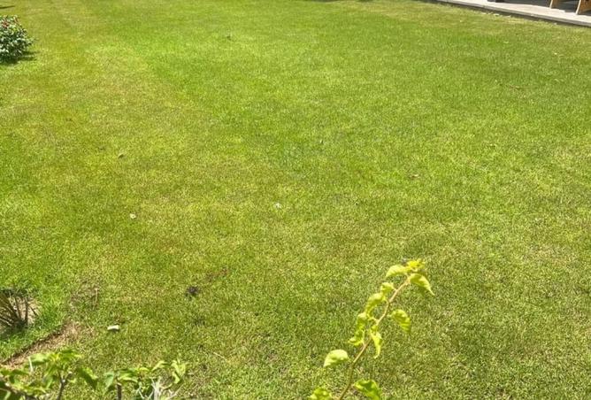 8104208 - Property Image 3