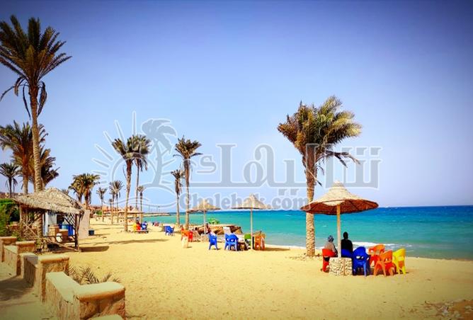 8449708 - صورة العقار 2