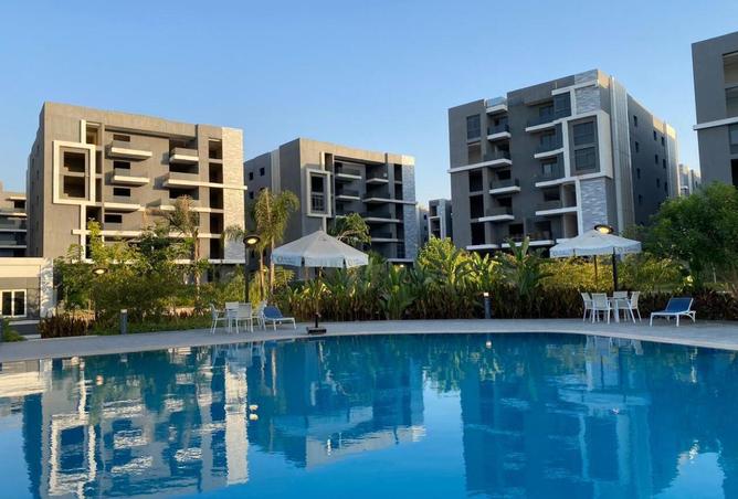 8292782 - Property Image 3