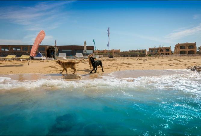 8432103 - Property Image 3