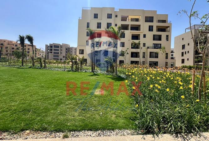 8131658 - Property Image 3