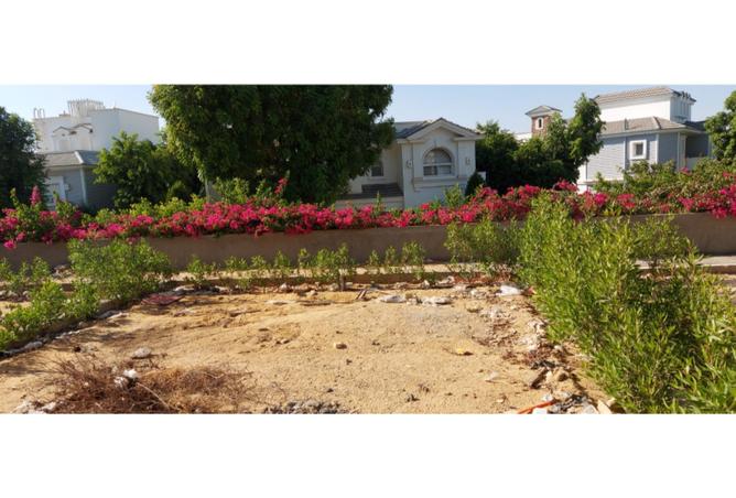 8075424 - Property Image 3