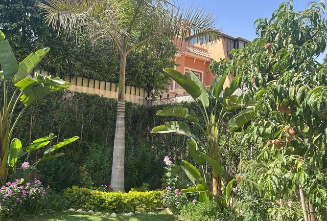 8338037 - Property Image 3