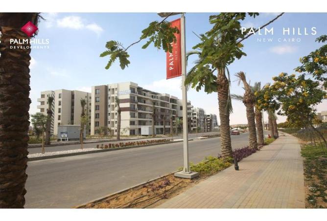 7913497 - Property Image 3