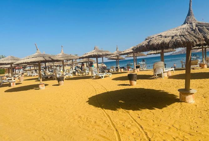 8270070 - صورة العقار 2