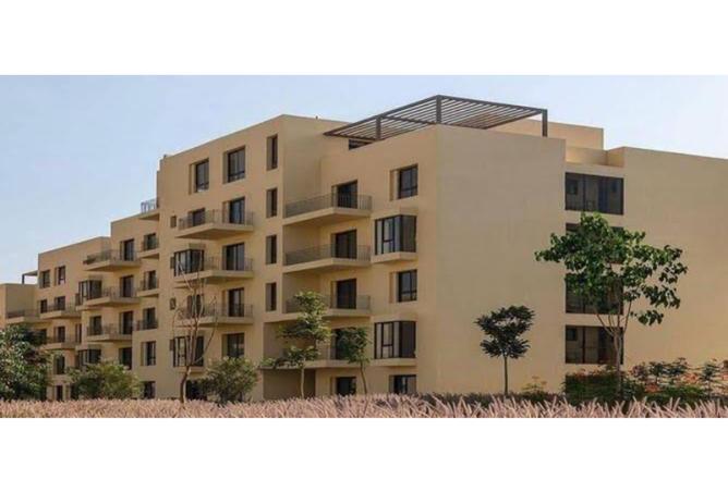 8138077 - Property Image 3