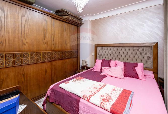 8239449 - Property Image 3