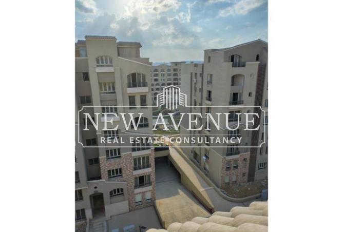 8162379 - Property Image 3