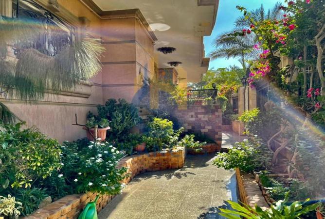 8234458 - صورة العقار 3