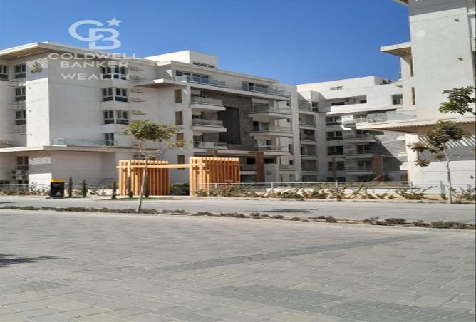 7971845 - صورة العقار 3