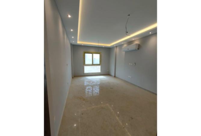 8359137 - Property Image 3