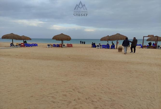 7988527 - Property Image 3