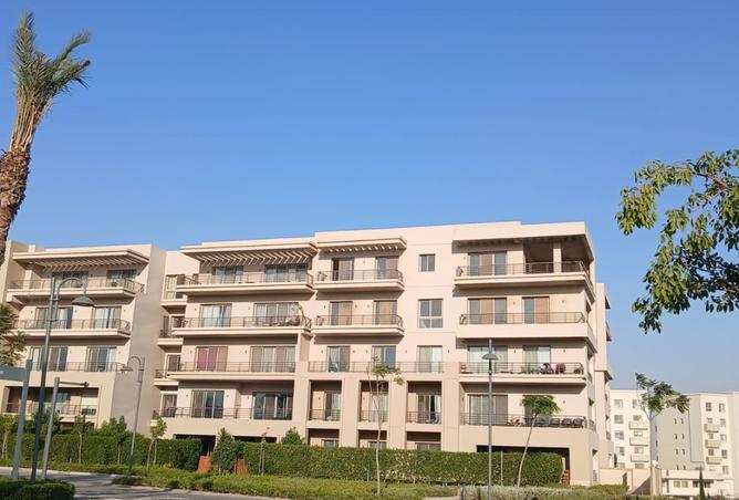 8481036 - Property Image 2