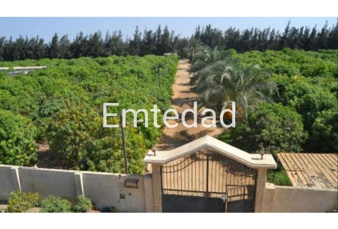 8344414 - صورة العقار 2