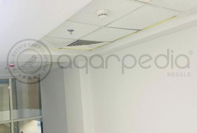 8247509 - Property Image 2